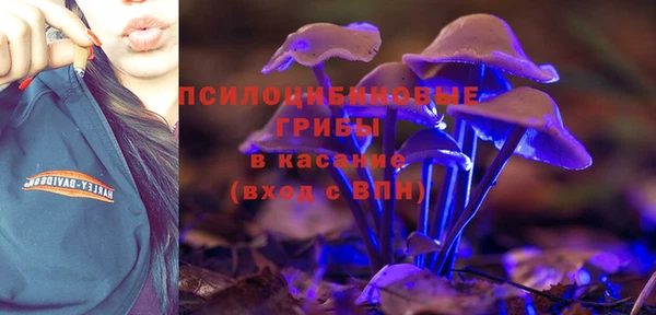 каннабис Белокуриха