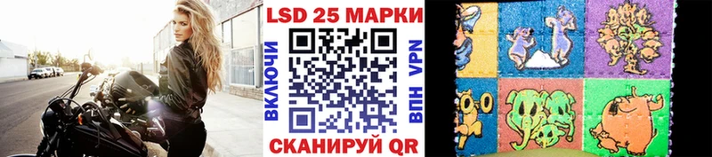 KRAKEN ТОР  Будённовск  Марки NBOMe 1500мкг 